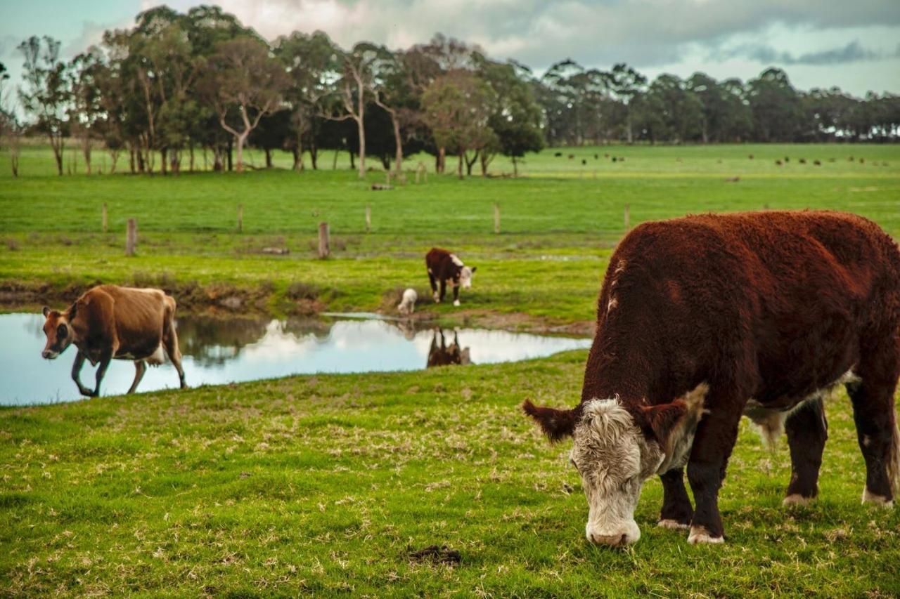Discovery Parks Margaret River Cowaramup 外观 照片